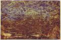 Paintings for Sale